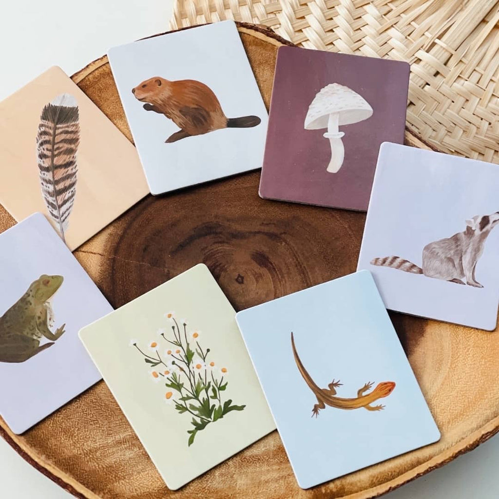 kids educational nature themed activity cards