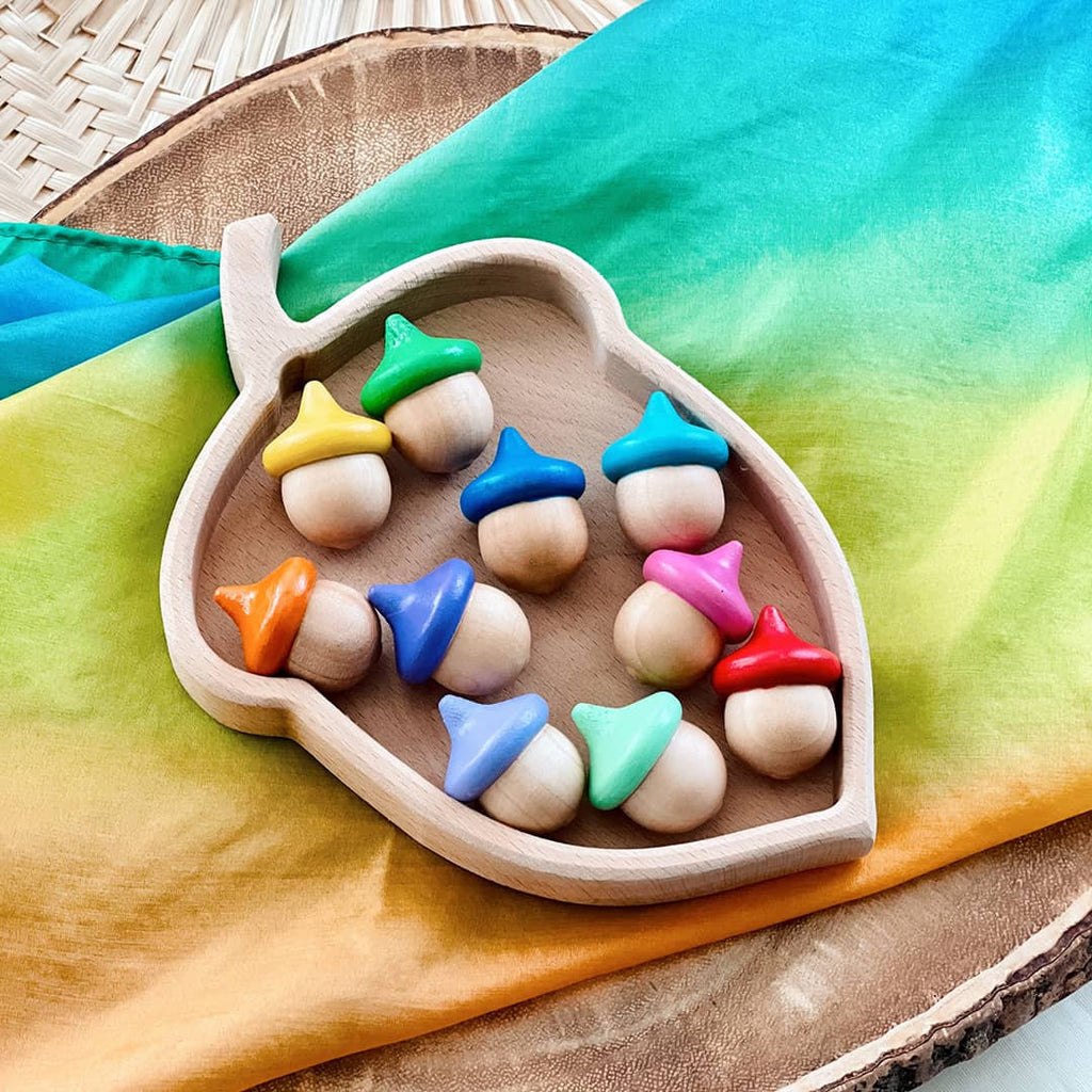 10 rainbow colored wood acorns sitting in an acorn shaped Montessori sorting tray