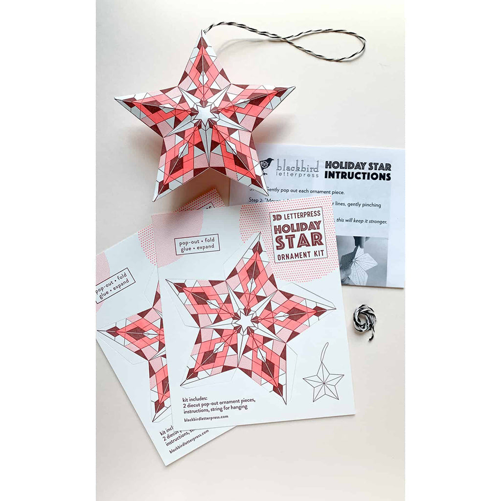 holiday star ornament craft kit