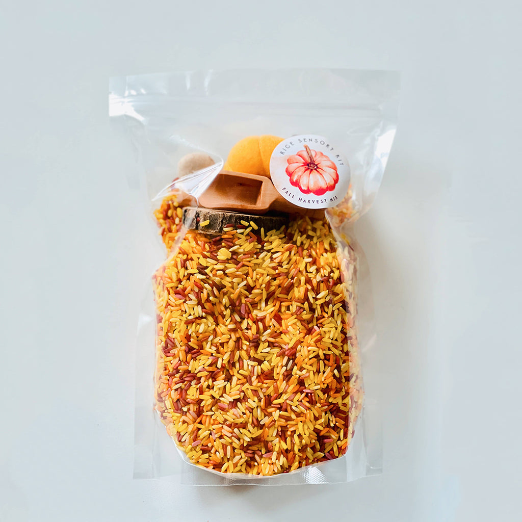 fall colored sensory rice bin kit