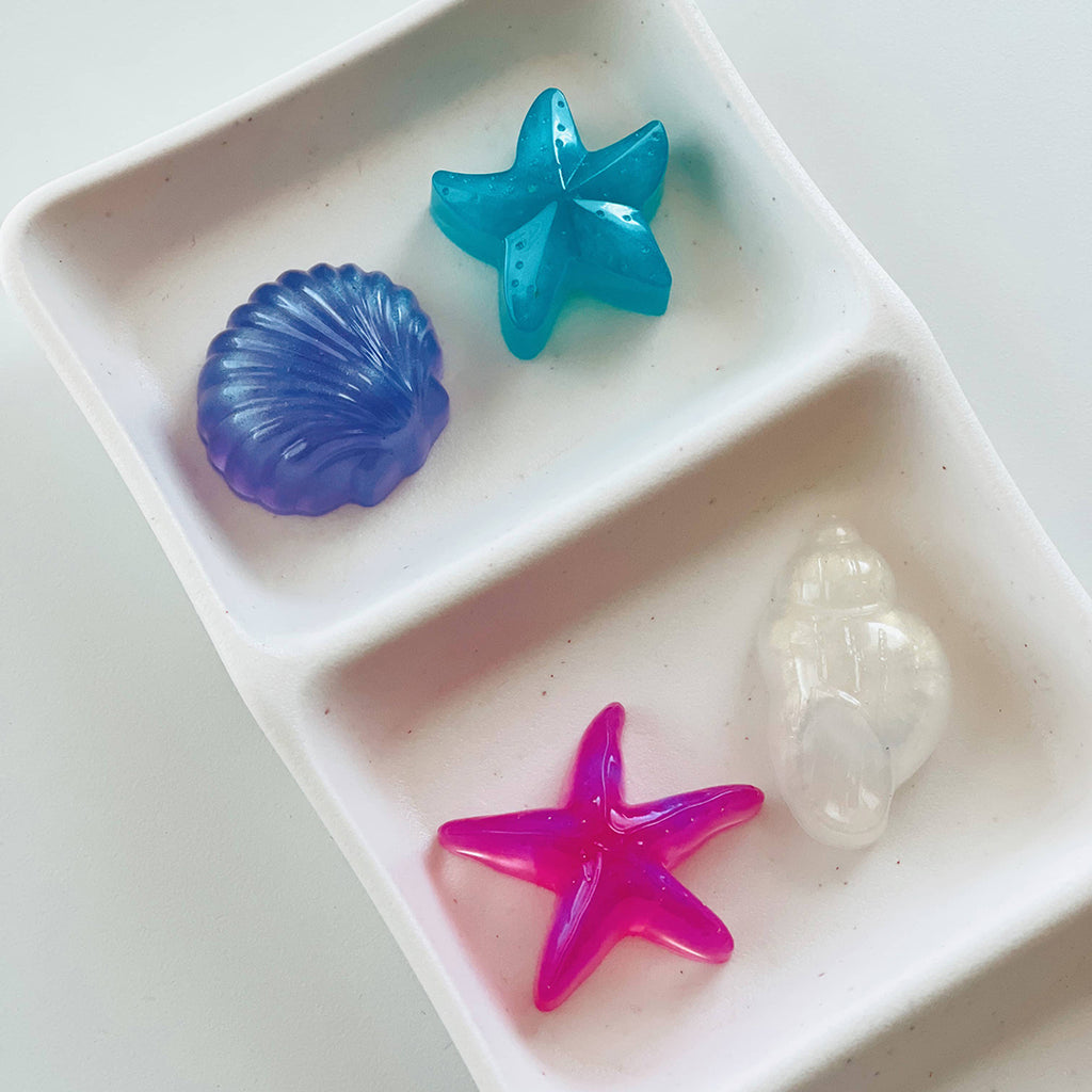 sea shell loose parts for kids sensory bin fillers