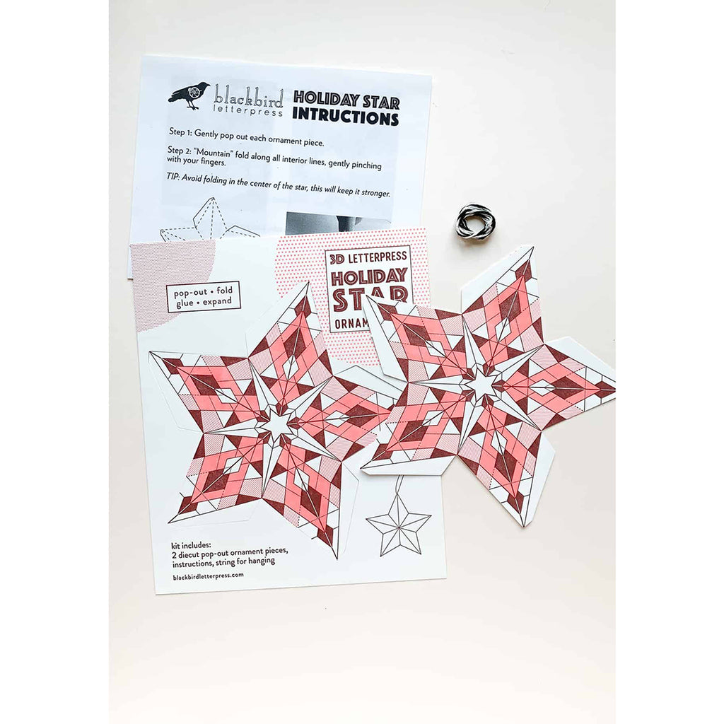 3D letterpress holiday star ornament craft kit