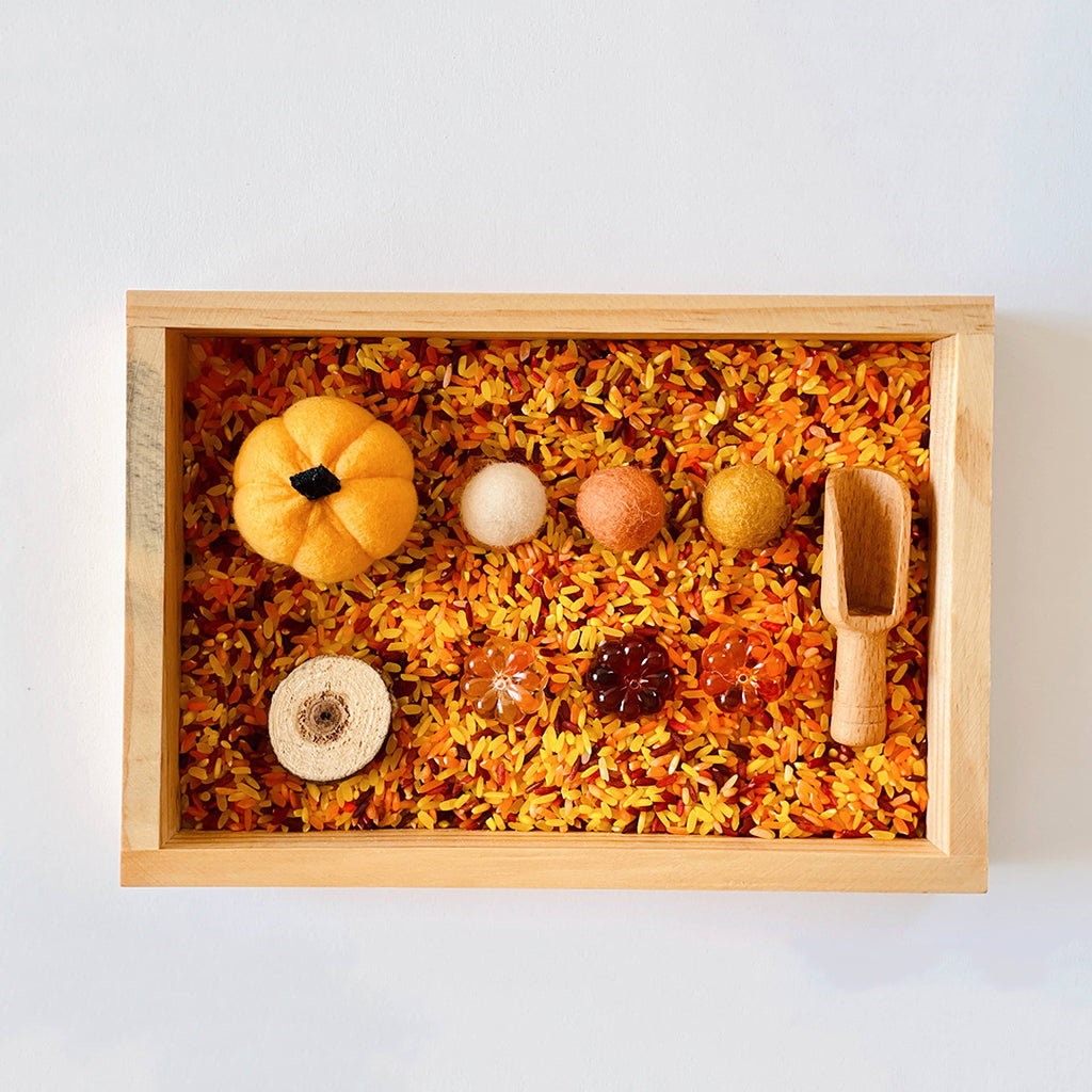 fall themed sensory rice kit